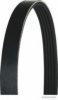 MAGNETI MARELLI 600000001230 V-Ribbed Belts